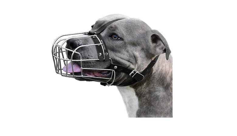 Best Muzzles For Pitbulls In 2022 2