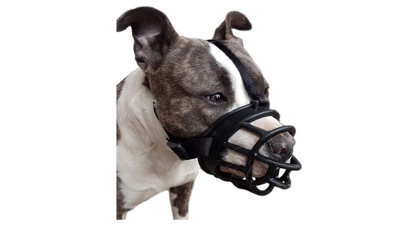 Best Muzzles For Pitbulls In 2022 3