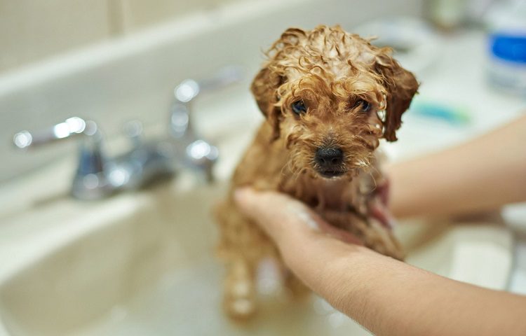 Bathing: Too Much, Too Little