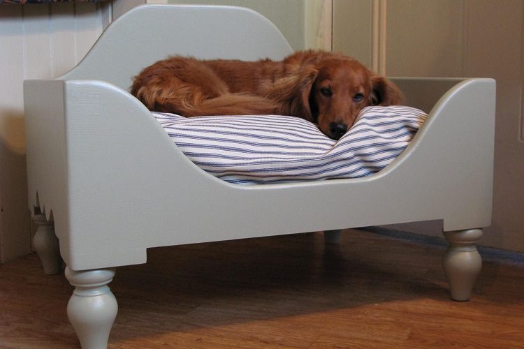 Types Of Dog Beds