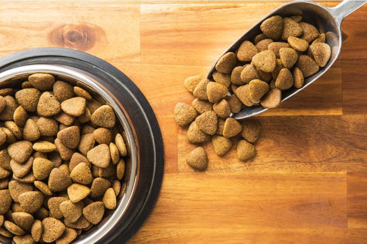 Decide if grain-free is good for your dog