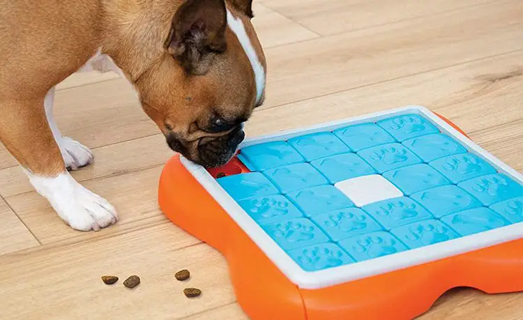 interactive toys for bulldogs