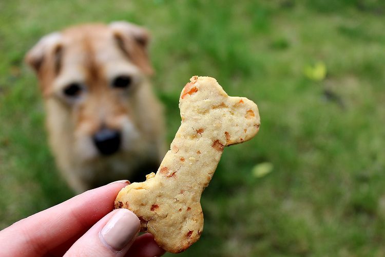 top-quality organic dog treats