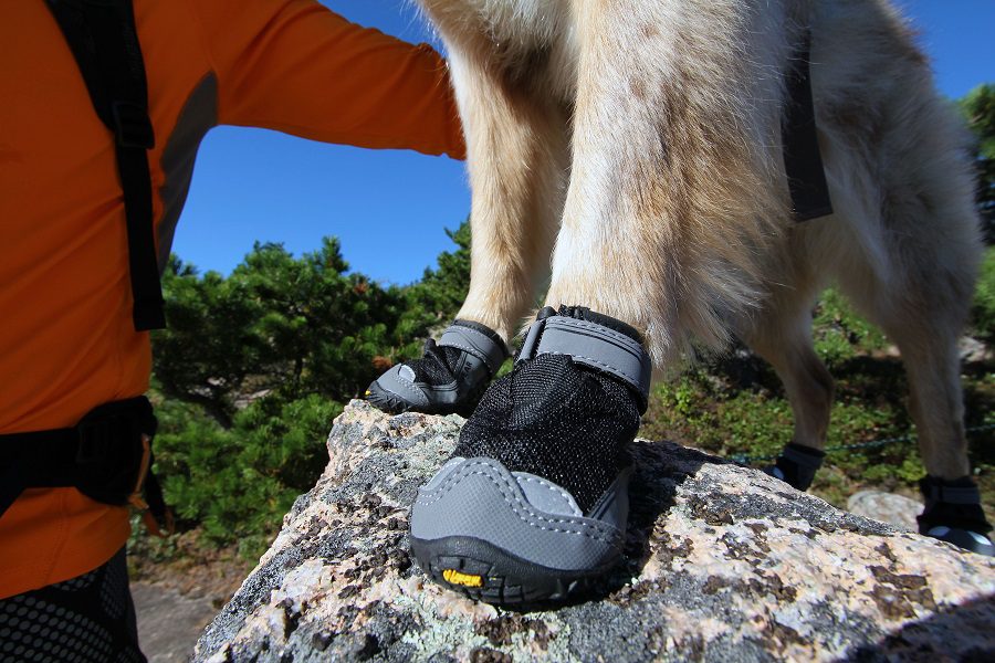 Hiking Boots For Dogs - Do They Need Them 2