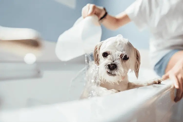 Hygiene