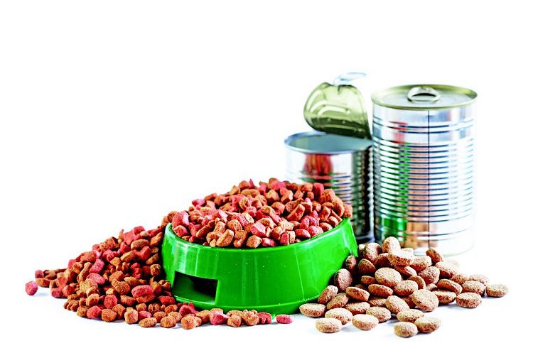 What You Need To Look For In Dry And Canned Dog Food