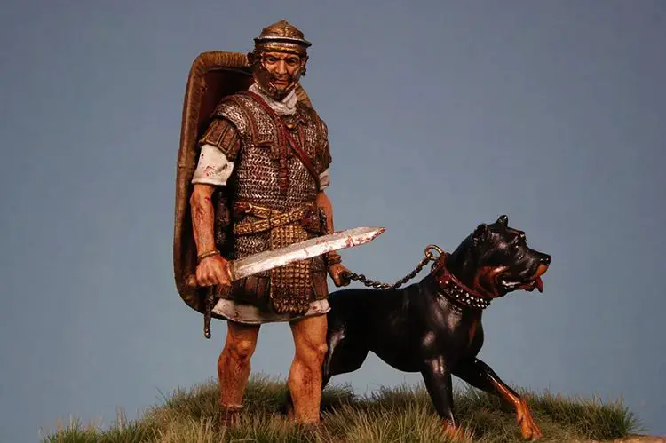 Spiked Collars Originated in Ancient Rome and Were Used on War Dogs