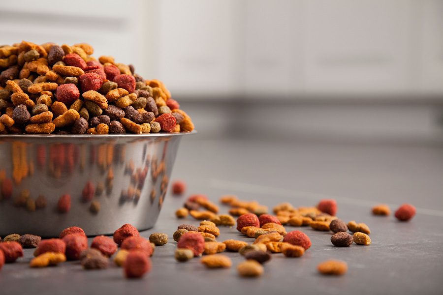 How to choose dog food with high protein