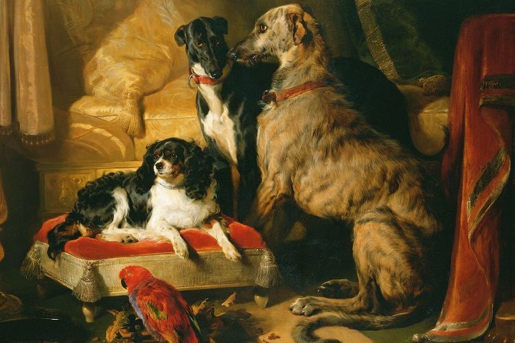 Dog Fashion Collar Boutiques Existed in Paris as Early as the 19th Century