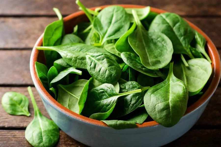 Can Dogs Eat Spinach? Is It Safe For Them?