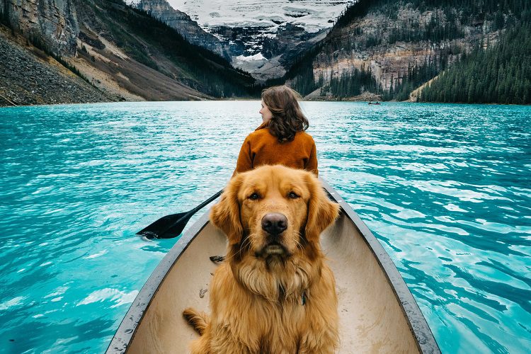 The Benefits Of Taking Your Dog With You On Your Next Trip