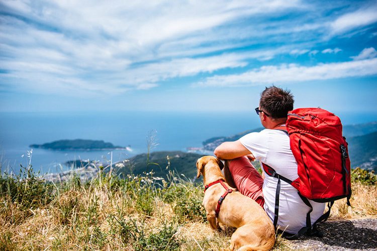 Great Places To Go With Your Dog