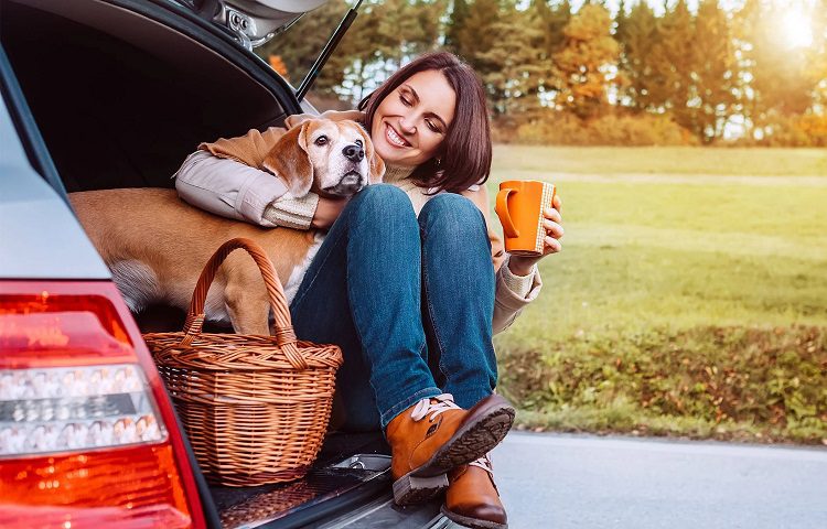 Take Frequent Stops When Traveling With A Dog In A Car