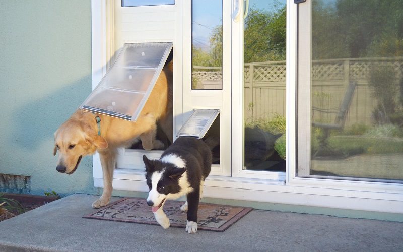 The Ultimate Guide To Dog Door