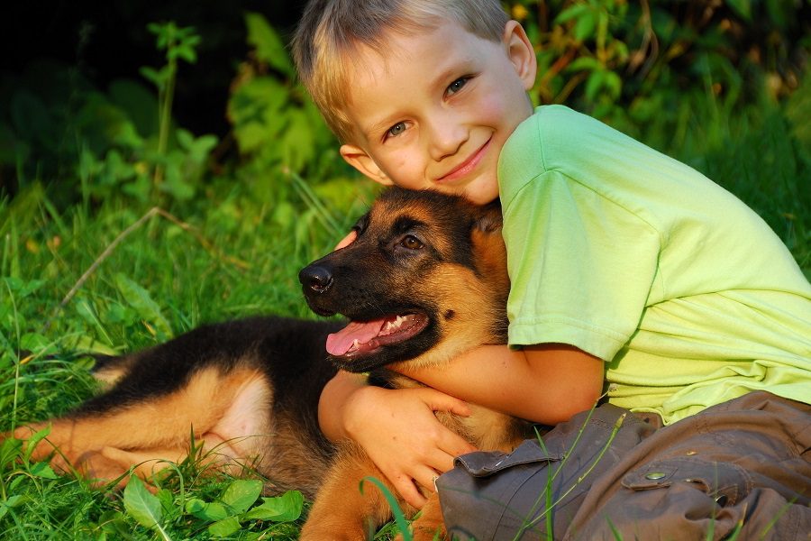6 Tips On How To Care For A German Shepherd