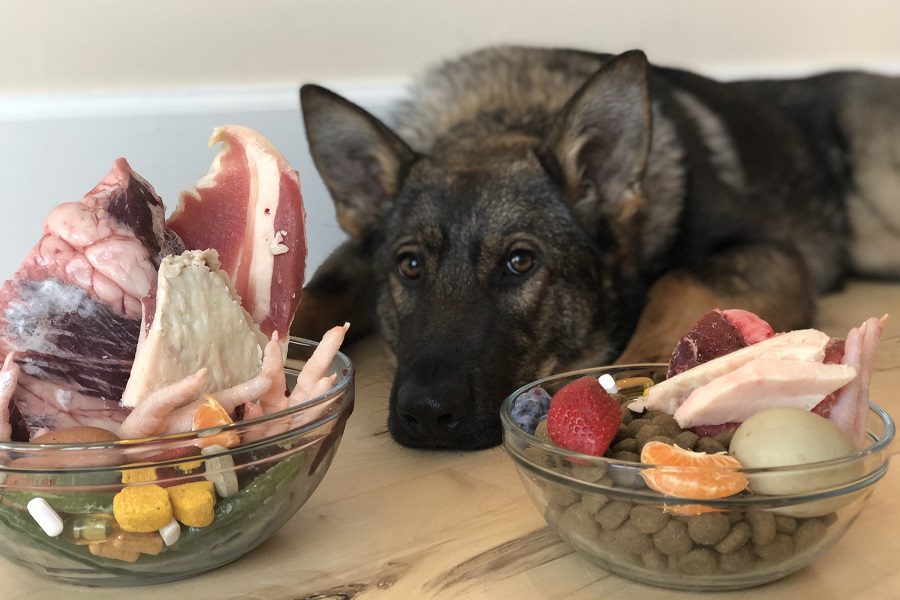 What Is The Best Dog Food For German Shepherd