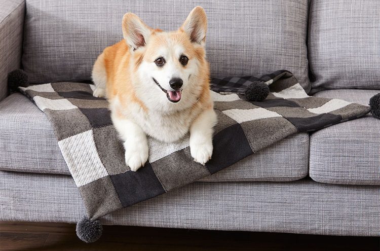 Best Dog Blanket Materials
