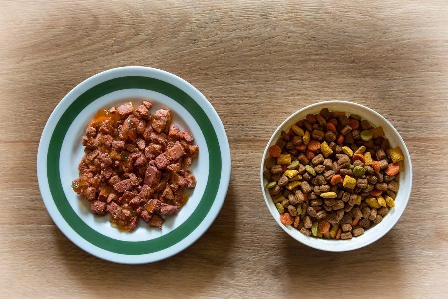 Wet Vs Dry Dog Food: Which Is Better For Your Dog?