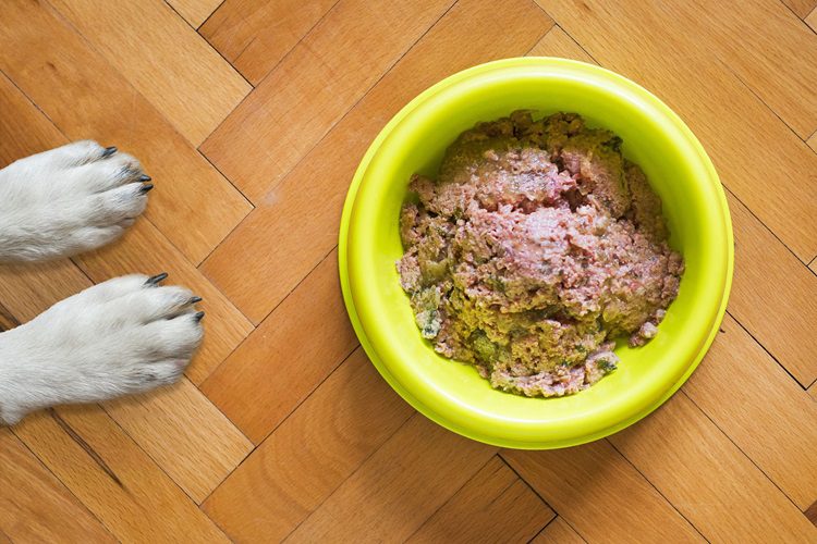 Advantages And Disadvantages Of Wet Dog Food