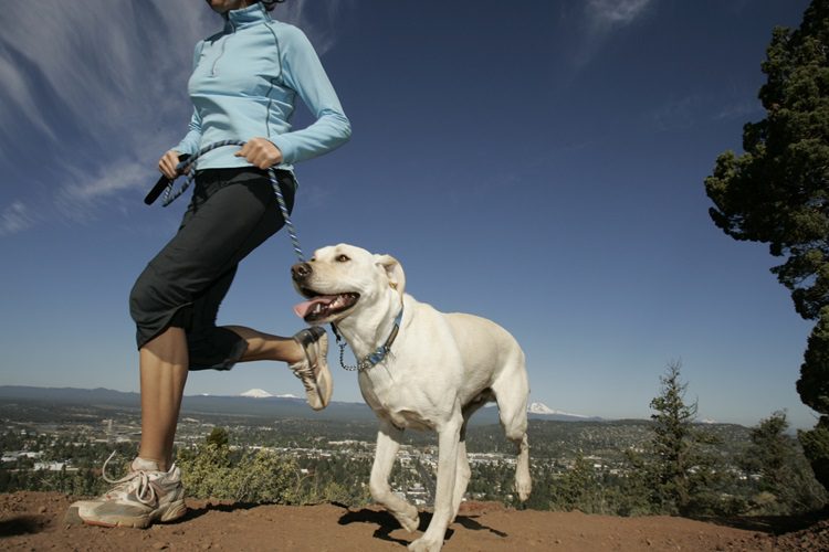 Allow Your Dog To Get Some Exercise