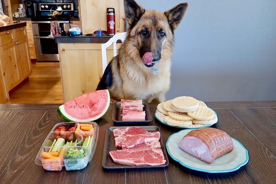 Why Is Organic Foods For German Shepherds Important