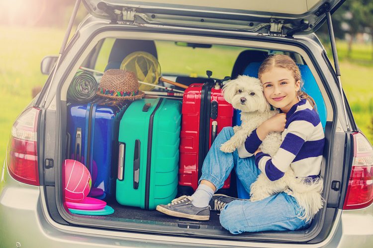 How To Have A Safe And Fun Road Trip With Your Dog