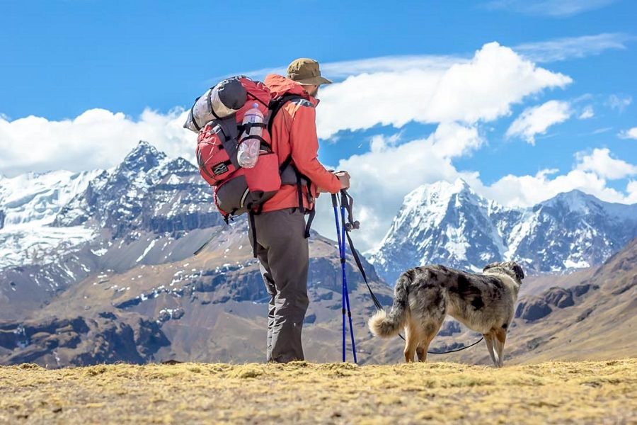 8 Must-Have Items To Bring When Hiking With Your Dog