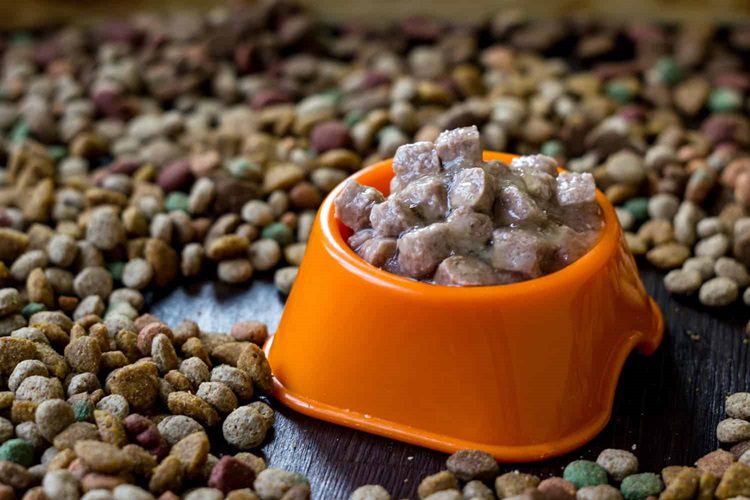Tips For Using Wet Food